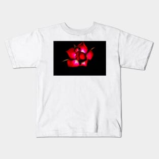 Ladybird on a Red Rose Kids T-Shirt